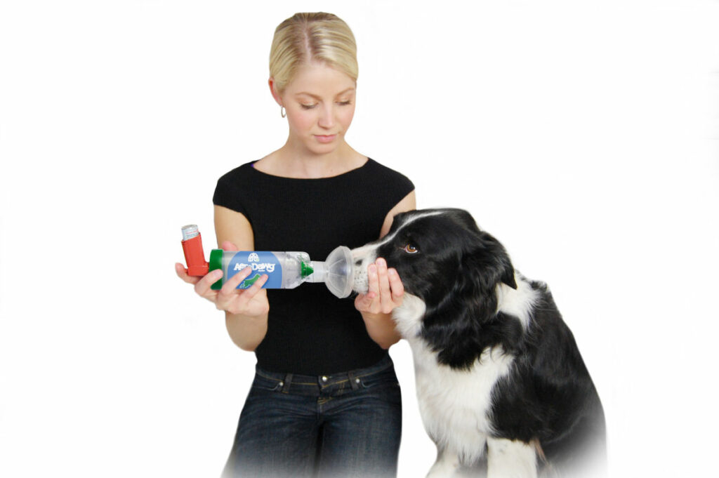 Kobieta stosuje AeroDawg na swoim psie